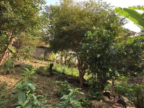 Foto Fazenda / Sítio / Chácara
