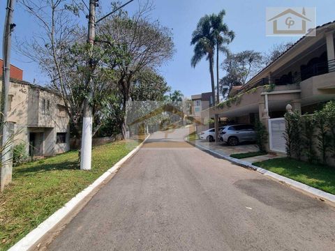 Foto Terreno