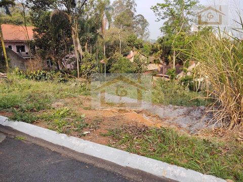 Foto Terreno