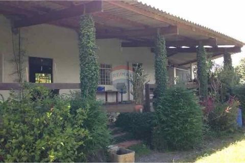 Foto Fazenda / Sítio / Chácara