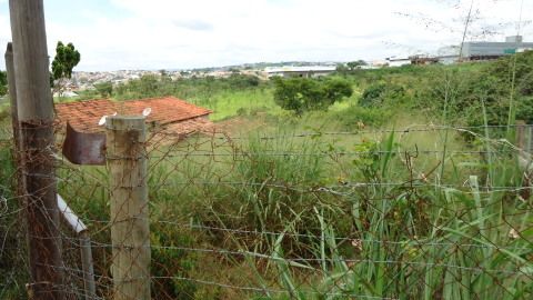 Foto Terreno