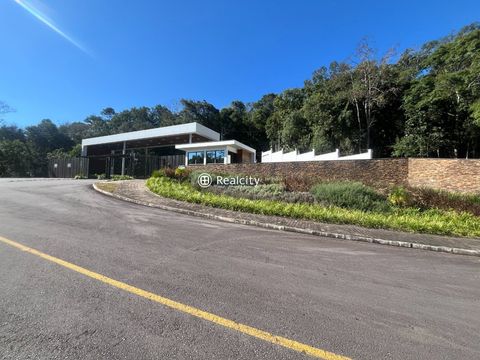Foto Terreno