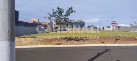 Foto Terreno