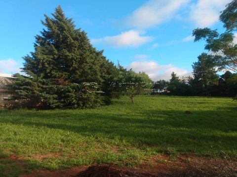 Foto Terreno