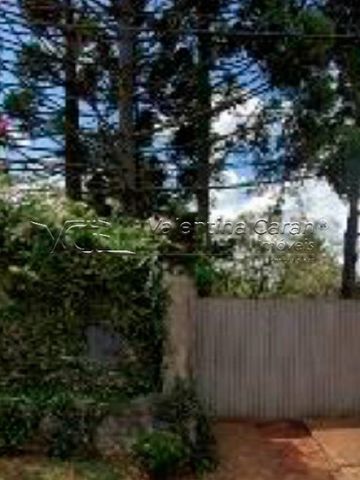 Foto Terreno