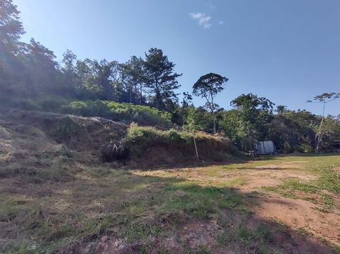 Foto Fazenda / Sítio / Chácara