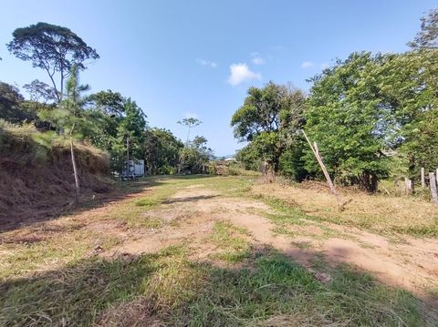 Foto Fazenda / Sítio / Chácara