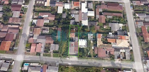 Foto Terreno