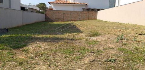 Foto Terreno