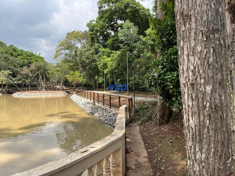 Foto Terreno