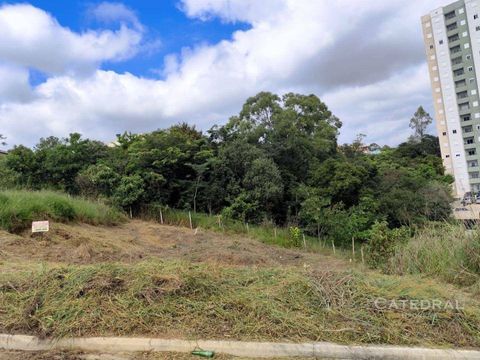 Foto Terreno