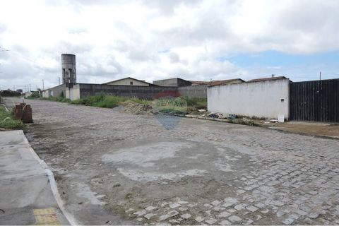 Foto Terreno