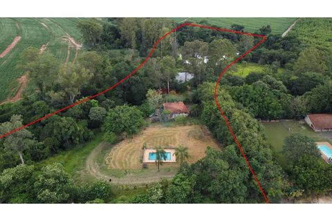 Foto Fazenda / Sítio / Chácara