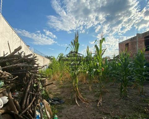 Foto Terreno
