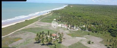 Foto Terreno