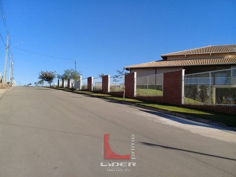 Foto Terreno