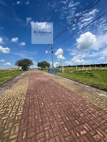 Foto Terreno