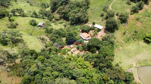 Foto Fazenda / Sítio / Chácara