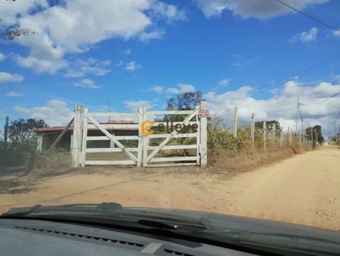 Foto Terreno