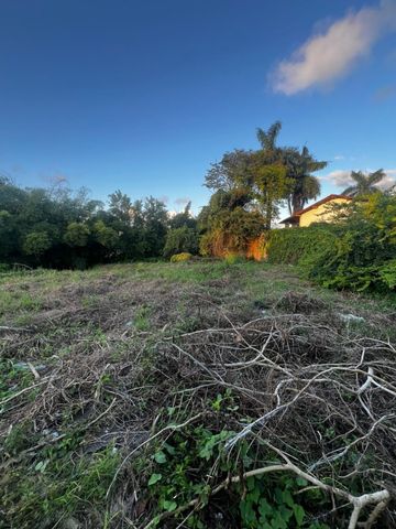 Foto Terreno
