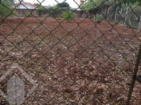 Foto Terreno