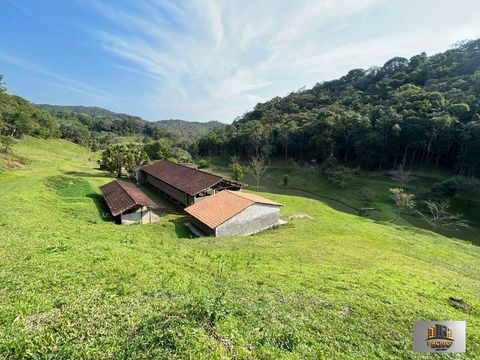 Foto Fazenda / Sítio / Chácara