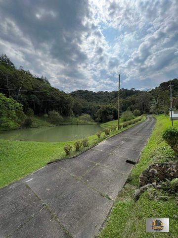 Foto Fazenda / Sítio / Chácara