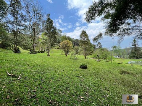 Foto Fazenda / Sítio / Chácara