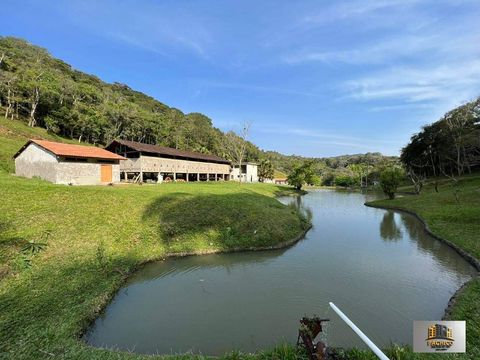 Foto Fazenda / Sítio / Chácara