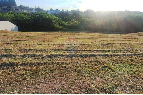 Foto Terreno