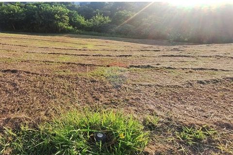 Foto Terreno