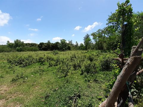 Foto Terreno