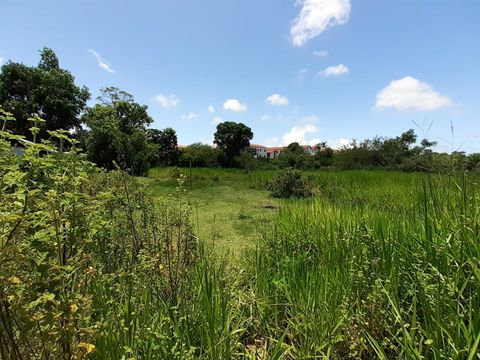 Foto Terreno