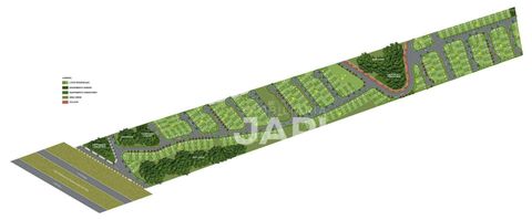 Foto Terreno