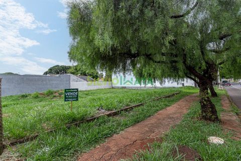 Foto Terreno