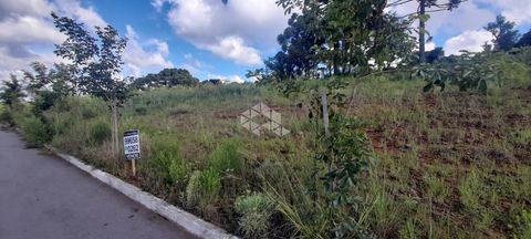 Foto Terreno