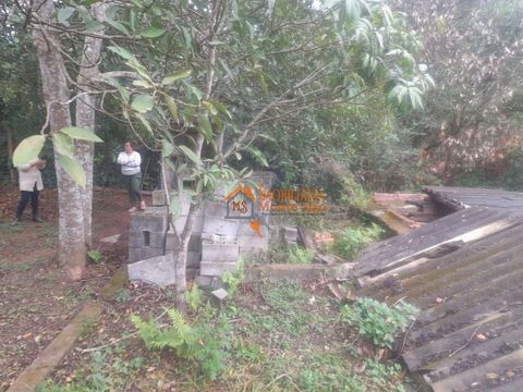 Foto Terreno