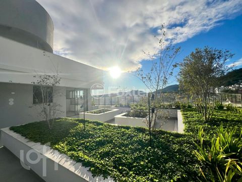 Foto Kitnet / JK / Studio