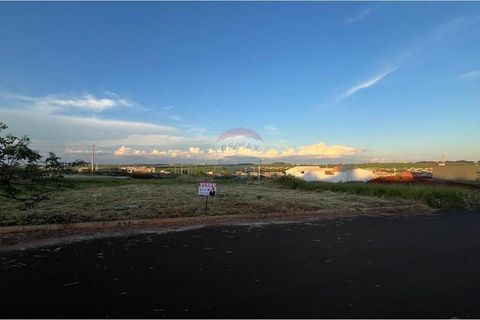 Foto Terreno