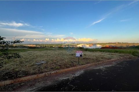 Foto Terreno