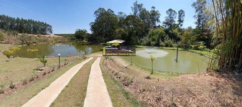 Foto Fazenda / Sítio / Chácara
