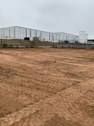 Foto Terreno