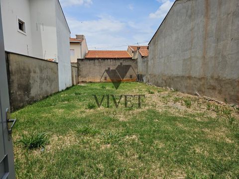 Foto Terreno
