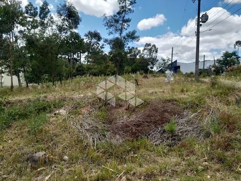 Foto Terreno