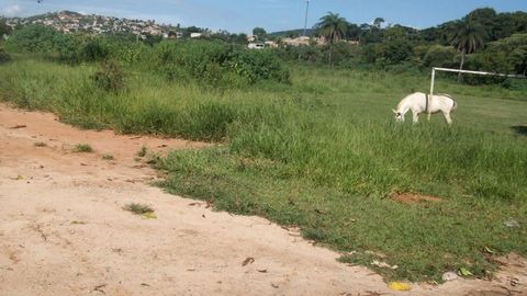 Foto Terreno