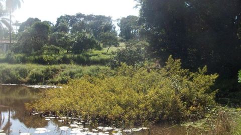Foto Terreno