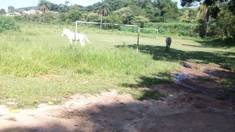 Foto Terreno