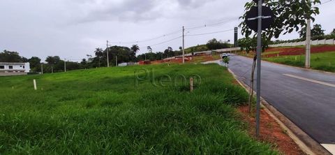 Foto Terreno