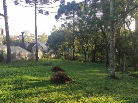 Foto Terreno