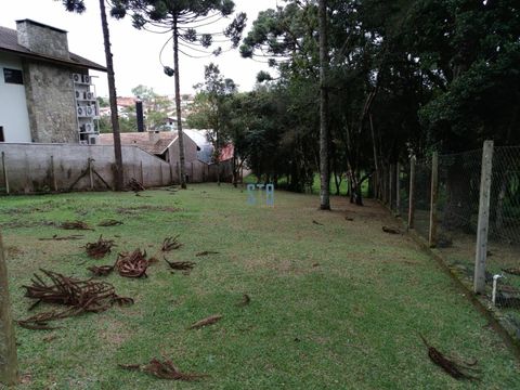 Foto Terreno